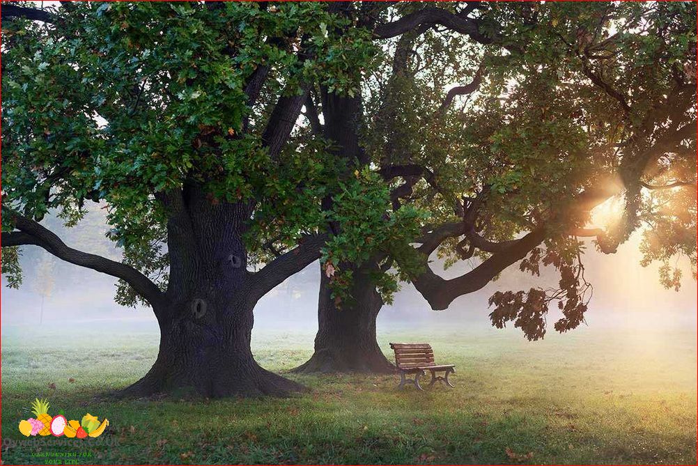 How to Accelerate Oak Tree Growth: A Comprehensive Guide for Gardeners