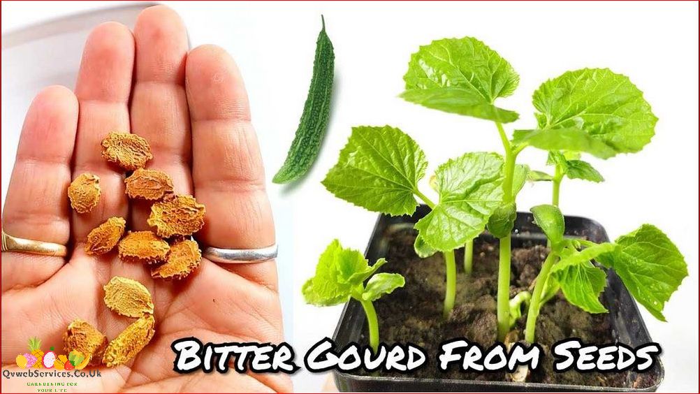 How to Grow Bitter Gourd: A Comprehensive Guide