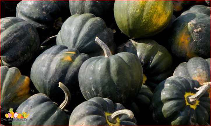 How to Grow Acorn Squash in Containers: A Comprehensive Guide